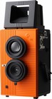 Blackbird Orange