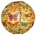Papierlampenschirm - History Of The Butterfly - Schmetterlinge