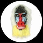 Pavianmaske Bunt