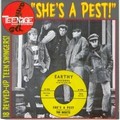 VARIOUS ARTISTS - SHE'S A PEST!