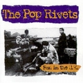 1 x POP RIVETS - FUN IN THE UK