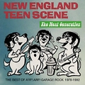VARIOUS ARTISTS - New England Teen Scene - The Next Generation