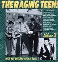 VARIOUS ARTISTS - THE RAGING TEENS Vol. 3