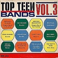 VARIOUS ARTISTS - Top Teen Bands Vol. 3