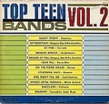 VARIOUS ARTISTS - Top Teen Bands Vol. 2
