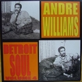ANDRE WILLIAMS - Detroit Soul Vol. 4