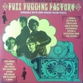 VARIOUS ARTISTS - Incredible Sound Show Stories Vol. 12 - Fuzz Pudding Factory