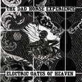 DAD HORSE EXPERIENCE - Electric Gates Of Heaven
