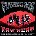 FUZZTONES - Raw Heat