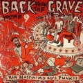 VARIOUS ARTISTS - Back From The Grave Vol. 9