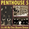 PENTHOUSE 5 - It's All My Own Bizarre Dream