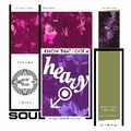 VARIOUS ARTISTS - I Know That I Got A Heavy Soul Vol. 3