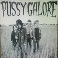 PUSSY GALORE - Groovy Hate Fuck