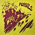 CHESTERFIELD KINGS - Fossils