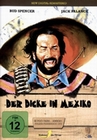 DER DICKE IN MEXIKO