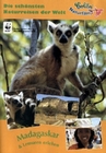 Madagaskar & Lemuren erleben