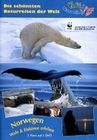 Norwegen Wale & Eisbren erleben
