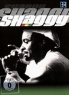 Shaggy - Live At Chiemsee Reggae Summer