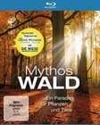 Mythos Wald (BR)