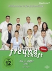 In aller Freundschaft - Staffel 12.1 [6 DVDs]