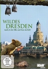 Wildes Dresden - Lachs in der Elbe und Hase im..