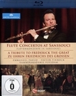 Fltenkonzert in Sanssouci - Zu Ehren Friedrichs