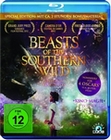 Beasts of the Southern Wild [SE]