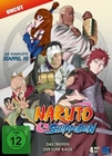 Naruto Shippuden - Staffel 10 - Uncut [4 DVDs]