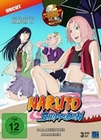 Naruto Shippuden - Staffel 11 - Uncut [3 DVDs]