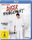 Anger Management - Staffel 1