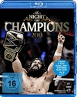 Night of Champions 2013 (BR)