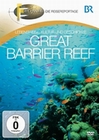 Great Barrier Reef - Fernweh