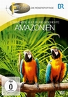 Amazonien - Fernweh