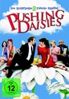 Pushing Daisies - Staffel 2 [4 DVDs]