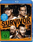 Survivor Series 2013