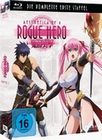 Aesthetica of a Rogue Hero - St. 1 [3 BRs]