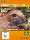 Elefant, Tiger & Co. - Teil 34 [2 DVDs]