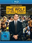 The Wolf of Wall Street (BR)