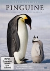 Pinguine - Die liebenswerten Tiere im Frack