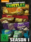 Teenage Mutant Ninja Turtles - Season 1 [4 DVD]