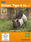 Elefant, Tiger & Co. - Teil 35 [2 DVDs]