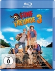 Fnf Freunde 3 (BR)