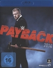 Payback 2014 (BR)