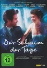 Der Schaum der Tage