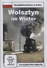 Dampflokomotiven in Polen - Wolsztyn im Winter