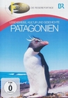 Patagonien - Lebensweise, Kultur und Ge...
