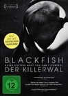 Blackfish - Never cature what you can`t control