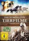 Die schnsten Tierfilme Collection [2 DVDs]
