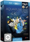 Aquarium 4K [LE] (+ UHD Stick in Real 4K) (BR)