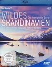 Wildes Skandinavien [2 BRs] (BR)